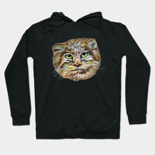 Pallas's Cat (Otocolobus Manul) Hoodie